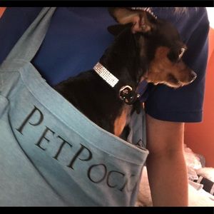 Fun dog 🐕 pouch Carrier